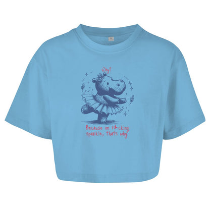 Damen Oversize Crop Top "Because im fucking sparkle" - Grafikmagie