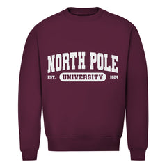 Herren Bio Sweatshirt "North Pole University" - Grafikmagie
